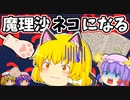 【ゆっくり茶番】魔理沙がパチュリーの魔法でネコ化！？元の姿に戻そうとしたら大変なことに…【２話】