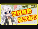 【6/1~6/8】カオスな世界情勢のプチ振り返り【A.I.VOICE解説】