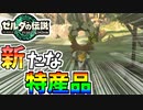 【ゼルダの伝説TOTK】カカリコ村の新たな特産品ってこれなの…？【ティアキン】#31