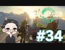 【実況プレイ】 ゼルダの伝説 ティアーズオブザキングダム part34 【いちご大福】