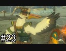 【実況】空の島から始まる新たな冒険【ゼルダの伝説 ティアーズ オブ ザ キングダム】part23