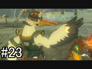 【実況】空の島から始まる新たな冒険【ゼルダの伝説 ティアーズ オブ ザ キングダム】part23
