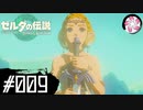 【ティアキン＃9】凡人が行く龍泪旅