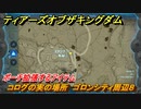 ゼルダの伝説ティアーズオブザキングダム　コログの実の場所　ゴロンシティ周辺８　ポーチ拡張するアイテム　＃７５４　【ティアキン】