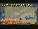 ゼルダの伝説ティアーズオブザキングダム　コログの実の場所　デスカルデラ周辺１　ポーチ拡張するアイテム　＃７６０　【ティアキン】