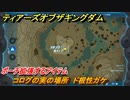 ゼルダの伝説ティアーズオブザキングダム　コログの実の場所　ド根性ガケ　ポーチ拡張するアイテム　＃７７１　【ティアキン】