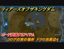 ゼルダの伝説ティアーズオブザキングダム　コログの実の場所　ドクロ池周辺４　ポーチ拡張するアイテム　＃７７５　【ティアキン】
