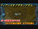 ゼルダの伝説ティアーズオブザキングダム　コログの実の場所　オクタの森２　ポーチ拡張するアイテム　＃７７８　【ティアキン】