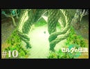 【ゼルダの伝説 Tears of the Kingdom】地底にもジ〇リみを感じる【実況】#10
