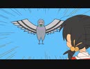 外出た瞬間ハト【実話】