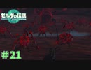 ごめんなさい、間違えました　「ゼルダの伝説～ティアーズ・オブ・ザ・キングダム」　＃21