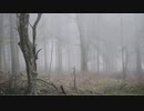 霧 fog 【フリーBGM】