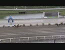 2023年6月11日高知競馬1R ２歳新馬 弐 テイクノート