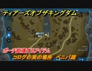 ティアキン　コログの実の場所　ベニバ湖　ポーチ拡張するアイテム　＃７８７　【ゼルダの伝説ティアーズオブザキングダム】
