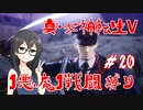 【真・女神転生V】1悪魔1戦闘縛り part20【花隈千冬実況】