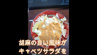 業務用スーパー胡麻ドレッシング