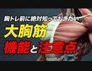 【筋トレ】大胸筋の機能とトレーニングの3つ注意点 | ボディビルチャンピオンが解説【ビーレジェンド プロテイン】