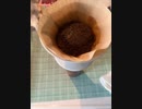 今日のコーヒー