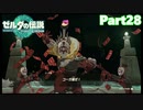 【28】ぼっち勇者の天空探検【ゼルダの伝説ティアーズオブザキングダム】