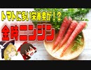 【ゆっくり解説】金時ニンジンの栄養について解説！