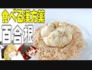 【ゆっくり解説】百合根の栄養について解説！