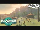 【ティアキン】ウオトリー村復興のDA･DA･DA ゼルダの伝説 ティアーズオブザキングダム Part24【ゲーム実況】