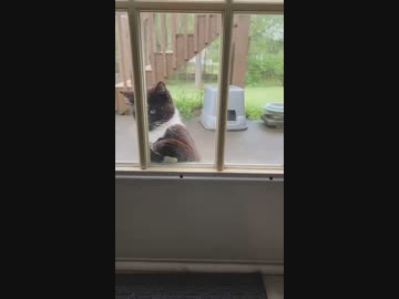 ホモと見るバーテンダー