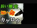 【ゆっくり解説】儚く一瞬の命　カゲロウを解説