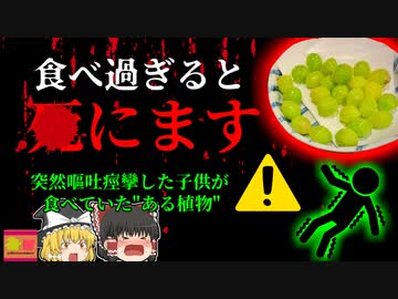 【2018年】ホームパーティーで子供が夢中で食べていたある"有毒植物" 突然嘔吐痙攣した子供は一体何を食べていた？ 【ゆっくり解説】