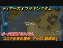 ティアキン　コログの実の場所　アッカレ湖周辺４　ポーチ拡張するアイテム　＃８０４　【ゼルダの伝説ティアーズオブザキングダム】