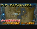 ティアキン　コログの実の場所　ターリン湿地２　ポーチ拡張するアイテム　＃８０９　【ゼルダの伝説ティアーズオブザキングダム】