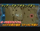 ティアキン　コログの実の場所　ミナッカレ平原３　ポーチ拡張するアイテム　＃８１７　【ゼルダの伝説ティアーズオブザキングダム】