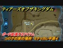 ティアキン　コログの実の場所　ミナッカレ平原４　ポーチ拡張するアイテム　＃８１８　【ゼルダの伝説ティアーズオブザキングダム】