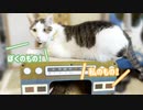 猫に新しい爪とぎハウス買ってみた