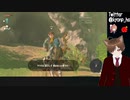 16【ティアキン】ゼルダ芸人がゼルダの伝説 ティアーズオブザキングダムをプレイ