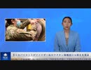 多くのパイロットがファイザー社のワクチン接種後に心筋炎を発症