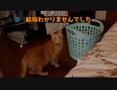 何がしたかったのか