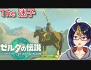 【ゼルダの伝説TotK Part8】カカリコ村までの道のり　その1　※ネタバレあり　【#ゼルダの伝説/#ゼルダの伝説ティアーズオブザキングダム/#ゲーム実況/#初見実況/#VTuber】