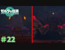 やっぱり、出てきますよねぇ～　「ゼルダの伝説～ティアーズ・オブ・ザ・キングダム」　＃22