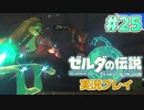 【実況】大空を翔る。ゼルダの伝説ティアーズオブザキングダム 実況プレイ！Part25【ゼルダの伝説TotK】