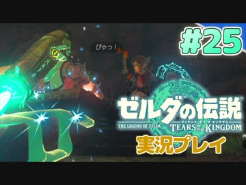 【実況】大空を翔る。ゼルダの伝説ティアーズオブザキングダム 実況プレイ！Part25【ゼルダの伝説TotK】