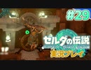 【実況】大空を翔る。ゼルダの伝説ティアーズオブザキングダム 実況プレイ！Part29【ゼルダの伝説TotK】