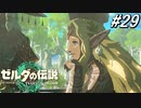 【ティアキン】ラウル国王、背景になる。【ゼルダの伝説 ティアーズ オブ キングダム】実況プレイ part29