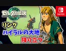 【ゼルダの伝説ティアーズオブザキングダム実況】ハイラルに再び異変が？新たな旅にでます！part20
