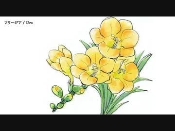 男だけどフリージアを歌ってみた