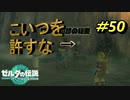 雲が晴れた【TEARS OF THE KINGDOM】＃50