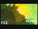 【ゼルダの伝説 Tears of the Kingdom】ハイラル王国の姫なのにタイムトラベルしちゃった件【実況】#12