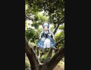 Ayaka off tree #genshin