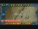ティアキン　コログの実の場所　ゾラ台地１　ポーチ拡張するアイテム　＃８２０　【ゼルダの伝説ティアーズオブザキングダム】