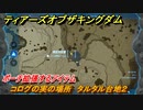 ティアキン　コログの実の場所　タルタル台地２　ポーチ拡張するアイテム　＃８３９　【ゼルダの伝説ティアーズオブザキングダム】